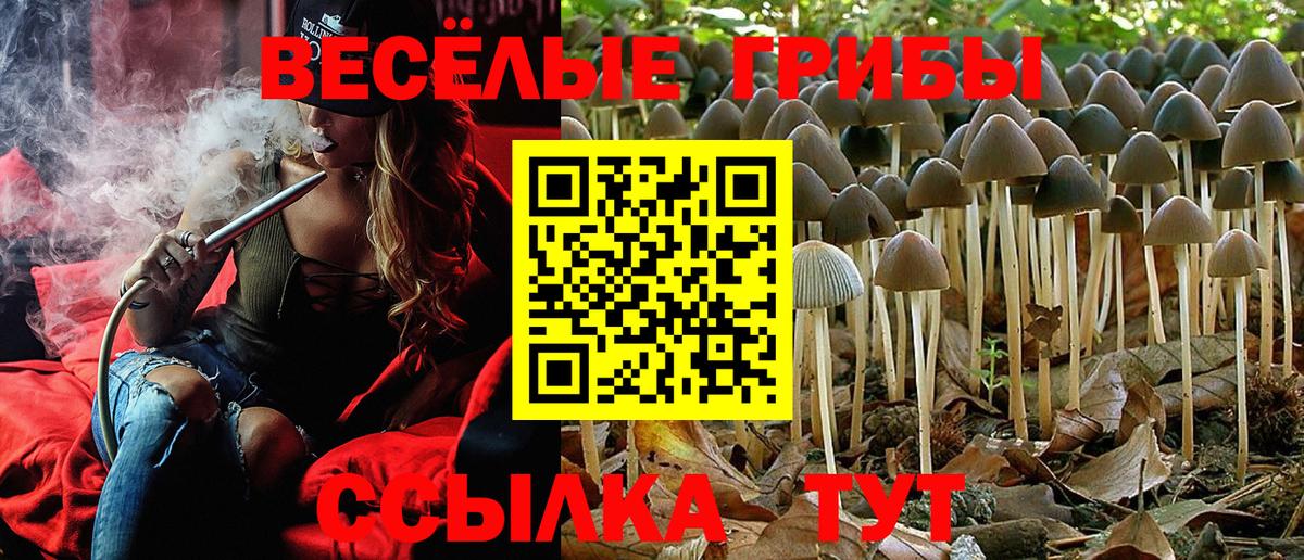 Псилоцибиновые грибы Magic Shrooms  Вход с VPN  Галлюциногенные грибы Psilocybe  купить закладку  Чернушка 